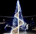 Светодиодная конусная ель, светодиодная инсталляция, светодиодная фигура, праздничная иллюминация, новогодняя иллюминация  » Кликните для увеличения ->
