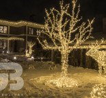Новогоднее оформление коттеджа, дома и придомовой территории. Фигурный занавес Ice Lite по периметру крыши, светодиодное дерево, семья из светодиодных оленей. Олень светодиодный под заказ  » Кликните для увеличения ->