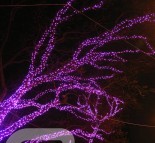 Новогоднее оформление деревьев, украшение деревьев гирляндой LED String lite (розовый)  » Кликните для увеличения ->