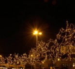 Новогоднее оформление деревьев, украшение деревьев гирляндой LED String lite (теплый белый)  » Кликните для увеличения ->