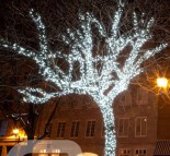 Новогоднее оформление деревьев, украшение деревьев гирляндой LED String lite (холодный белый)  » Кликните для увеличения ->
