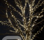 Новогоднее оформление деревьев, украшение деревьев гирляндой LED String lite  » Кликните для увеличения ->