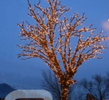 Новогоднее оформление деревьев, украшение деревьев гирляндой LED String lite (теплый белый)  » Кликните для увеличения ->
