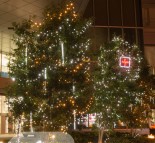 Новогоднее оформление деревьев, украшение деревьев гирляндой LED String lite и капающими сосульками Ice Drope  » Кликните для увеличения ->