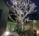 Новогоднее оформление деревьев, украшение деревьев гирляндой LED String lite  » Кликните для увеличения ->