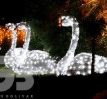 Светодиодный лебедь, Новогодние светящиеся фигуры для улицы, Уличные световые фигуры купить,Светодиодные фигуры купить Украина  » Кликните для увеличения ->