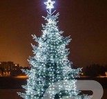 новогоднее украшение елки киев  » Кликните для увеличения ->