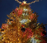 Новогодняя елка г. Покровск. В этом году очень яркая и красивая новогодняя елка засверкала огнями в микрорайоне «Лазурный» г. Покровск.  » Кликните для увеличения ->