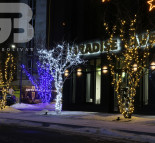 Новогоднее оформление ЖК Paradise Avenue. Светодиодные инсталляции (светодиодные фигуры) - Дед Мороз, снеговик,олени, сани, звезды.  » Кликните для увеличения ->