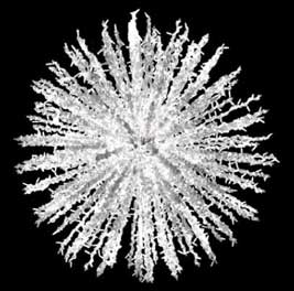 Световая 3D фигура. 