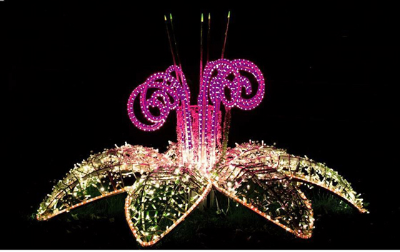 Изготовление светодиодных конструкций и инсталляций. Светодиодная конструкция из гирлянд цветок 